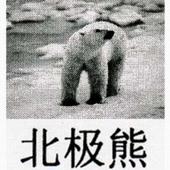 商标名称北极熊商标注册号 7294324、商标申请人重庆市欧华陶瓷（集团）有限责任公司的商标详情 - 标库网商标查询