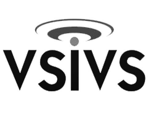 商标名称VSIVS商标注册号 11461016、商标申请人福州惟实信息科技有限公司的商标详情 - 标库网商标查询