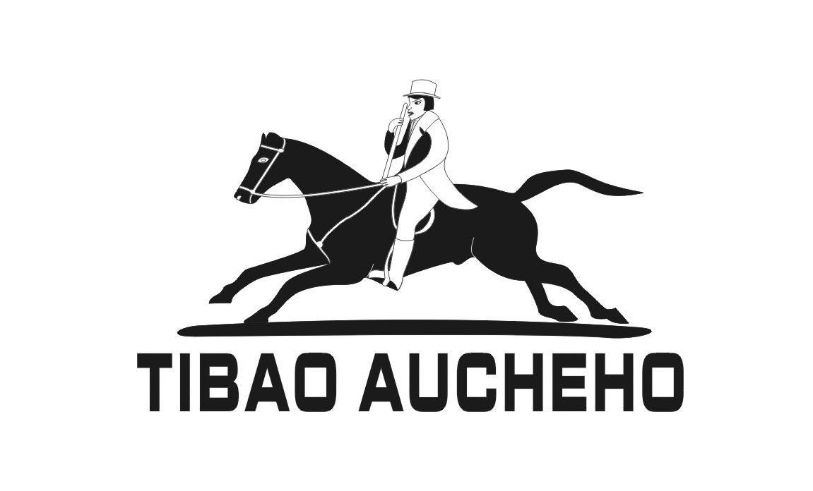 商标名称TIBAO AUCHEHO商标注册号 11431966、商标申请人东莞市琪胜鞋业有限公司的商标详情 - 标库网商标查询