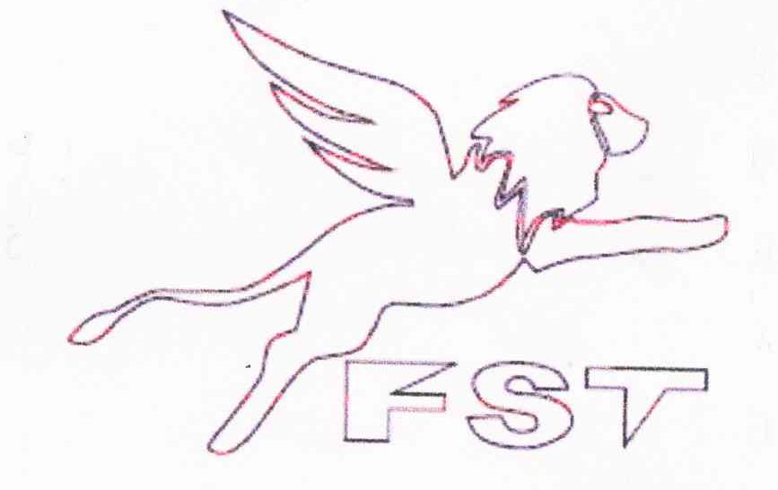 商标名称FST商标注册号 8804822、商标申请人飞狮特国际企业有限公司的商标详情 - 标库网商标查询