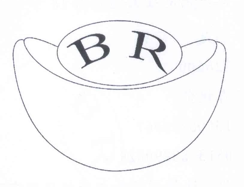 商标名称BR商标注册号 13271518、商标申请人肖锐金的商标详情 - 标库网商标查询