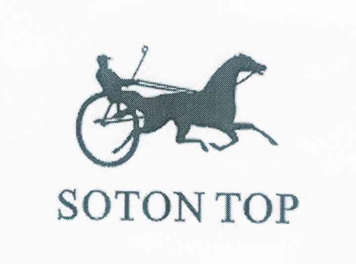 商标名称SOTON TOP商标注册号 10020894、商标申请人叶德坝的商标详情 - 标库网商标查询