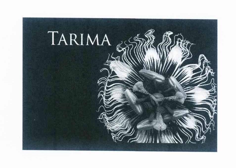 商标名称TARIMA商标注册号 10115649、商标申请人西班牙费恩·艾斯泰兹有限公司的商标详情 - 标库网商标查询