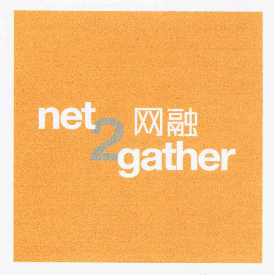 商标名称网融 NET 2 GATHER商标注册号 10431995、商标申请人时富投资集团有限公司的商标详情 - 标库网商标查询