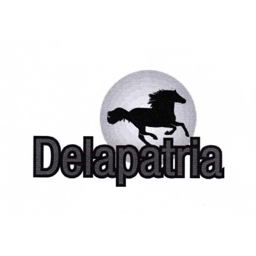 商标名称DELAPATRIA商标注册号 11890436、商标申请人宁波厘米国际贸易有限公司的商标详情 - 标库网商标查询