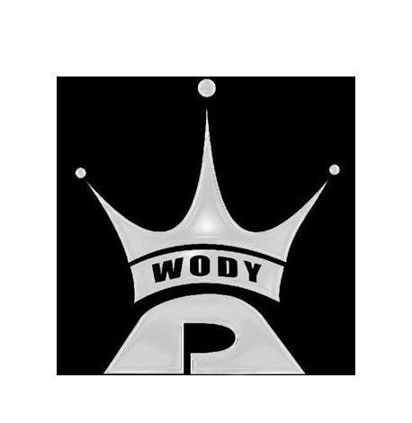 商标名称WODY商标注册号 14330234、商标申请人深圳市沃的科技有限公司的商标详情 - 标库网商标查询