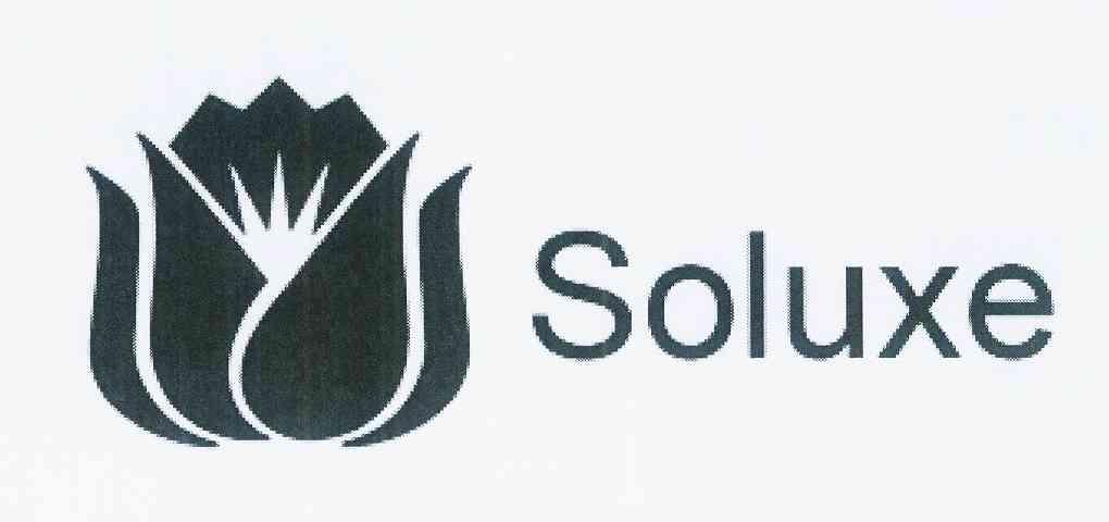 商标名称SOLUXE商标注册号 11795016、商标申请人中国石油天然气集团有限公司的商标详情 - 标库网商标查询