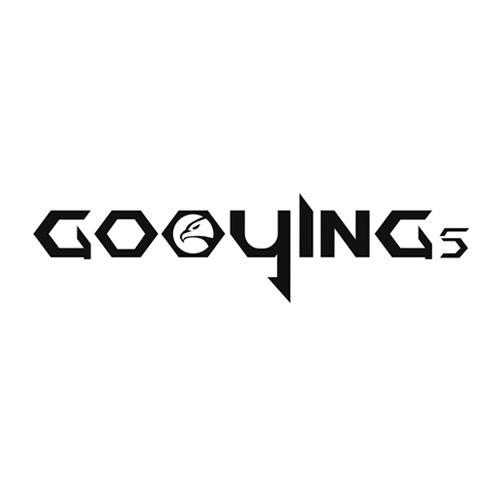 商标名称GOOYINGS商标注册号 18256977、商标申请人深圳市迪士曼科技有限公司的商标详情 - 标库网商标查询