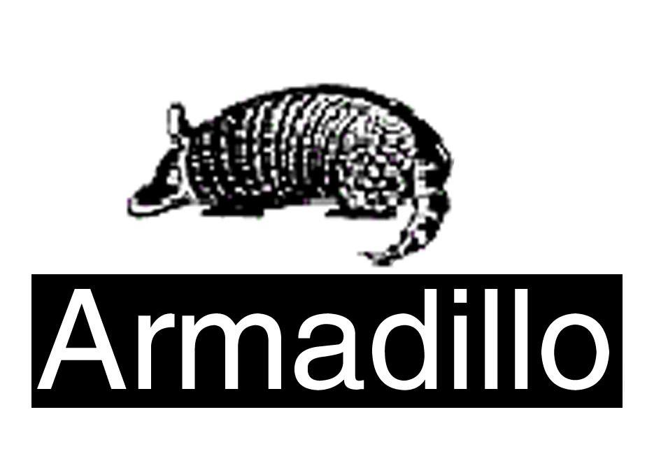 商标名称ARMADILLO商标注册号 8729157、商标申请人深圳市美洲鳄服饰有限公司的商标详情 - 标库网商标查询