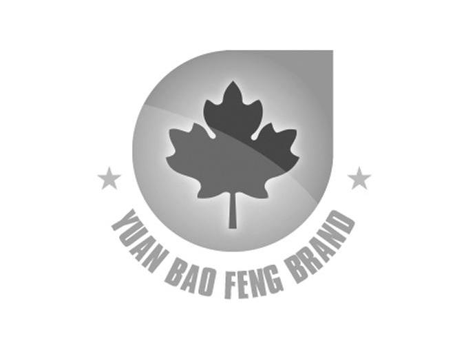 商标名称YUAN BAO FENG BRAND商标注册号 12258366、商标申请人北京元宝枫世纪农业科技有限公司的商标详情 - 标库网商标查询