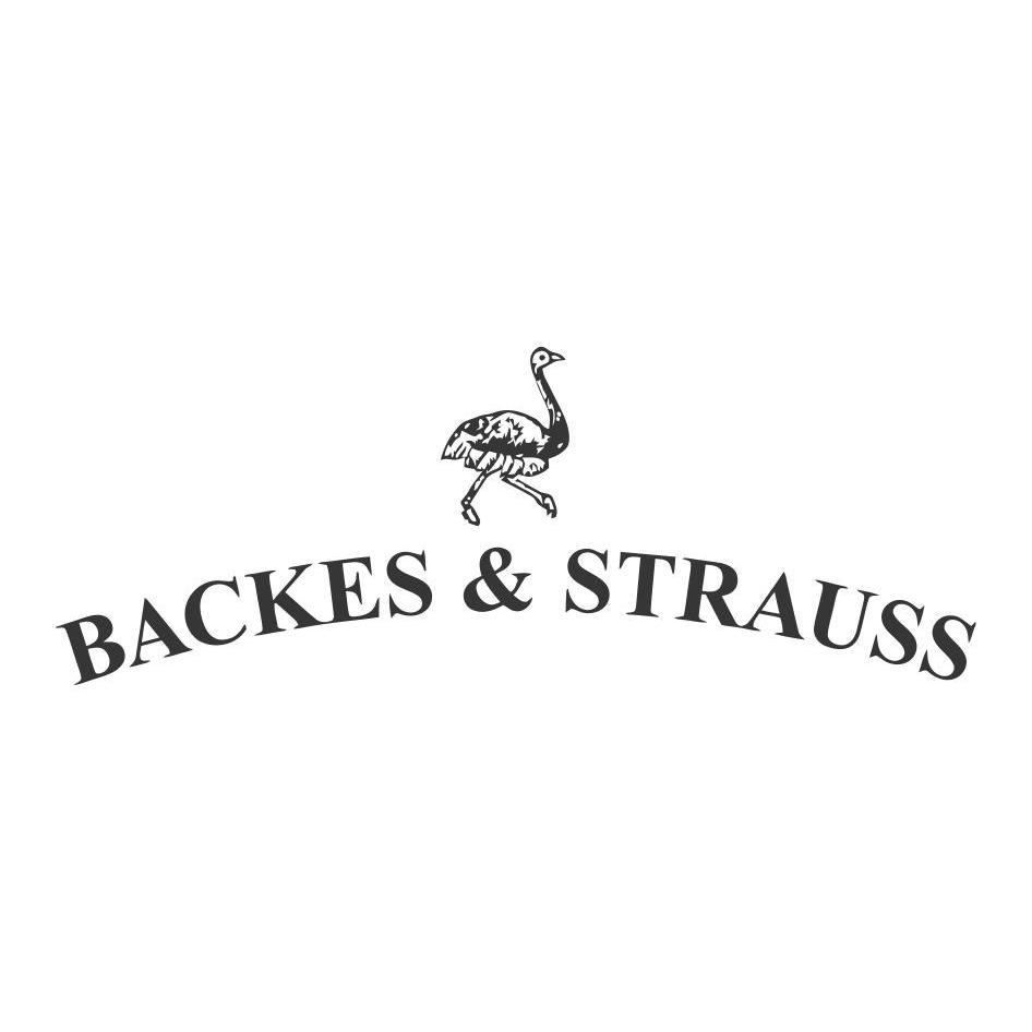 商标名称BACKES&STRAUSS商标注册号 12371559、商标申请人中国海裕国际股份有限公司的商标详情 - 标库网商标查询