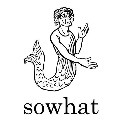 商标名称SOWHAT商标注册号 14215613、商标申请人北京良仓文化传播有限公司的商标详情 - 标库网商标查询