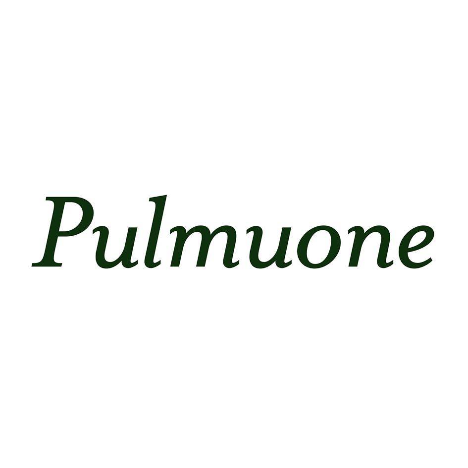 商标名称PULMUONE商标注册号 18269392、商标申请人（株）圃美多的商标详情 - 标库网商标查询