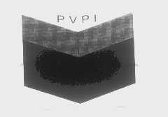商标名称PVPI商标注册号 1367797、商标申请人温州市龙湾洁康医药用品厂的商标详情 - 标库网商标查询
