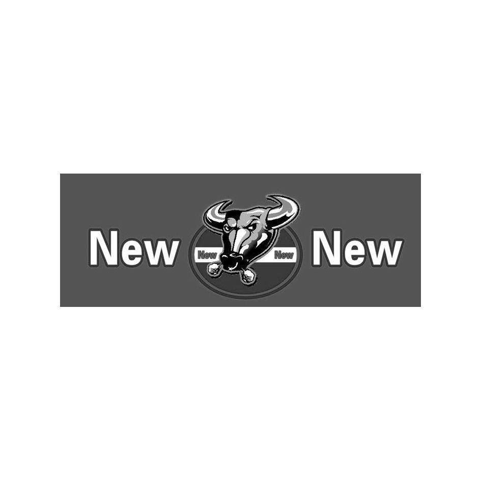 商标名称NEWNEW商标注册号 10235706、商标申请人泉州市牛牛汽车租赁有限公司的商标详情 - 标库网商标查询
