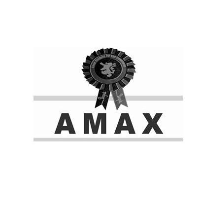 商标名称AMAX商标注册号 12640224、商标申请人泰安中核钢球有限公司的商标详情 - 标库网商标查询