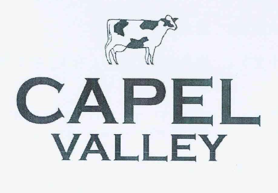 商标名称CAPEL VALLEY商标注册号 11478451、商标申请人哈维弗莱希（1994）有限公司的商标详情 - 标库网商标查询