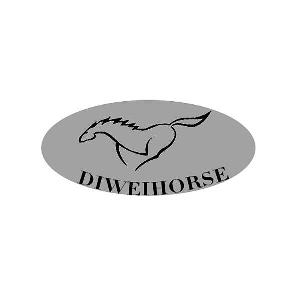 商标名称DIWEIHORSE商标注册号 12027293、商标申请人武汉翔搏皮具有限公司的商标详情 - 标库网商标查询