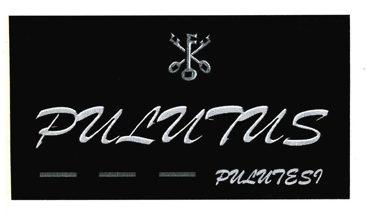 商标名称PULUTUS PULUTESI商标注册号 6667530、商标申请人南通百年投资发展有限公司的商标详情 - 标库网商标查询