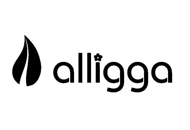 商标名称ALLIGGA商标注册号 10409357、商标申请人山西宝山鼎盛科技有限公司的商标详情 - 标库网商标查询