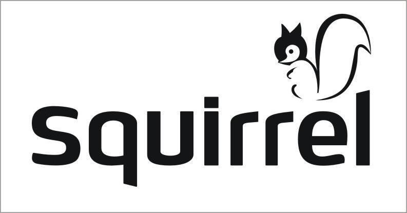 商标名称SQUIRREL商标注册号 9305619、商标申请人广州迪森家居环境技术有限公司的商标详情 - 标库网商标查询
