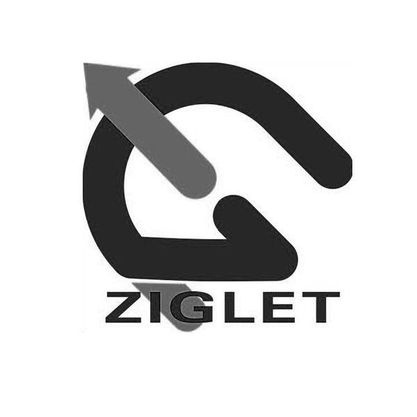 商标名称ZIGLET商标注册号 10095291、商标申请人浙江天地人科技有限公司的商标详情 - 标库网商标查询