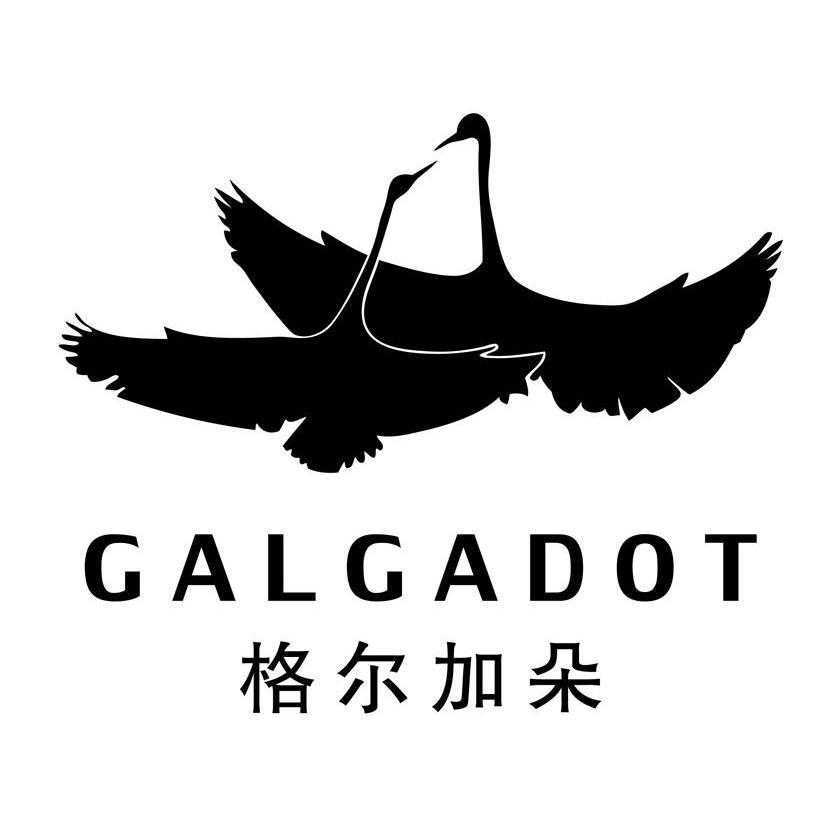 商标名称格尔加朵 GALGADOT商标注册号 11983742、商标申请人宣城方翔羽绒制品有限公司的商标详情 - 标库网商标查询