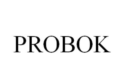 商标文字probok商标注册号 53929187,商标申请人郴州市安美特运动用品