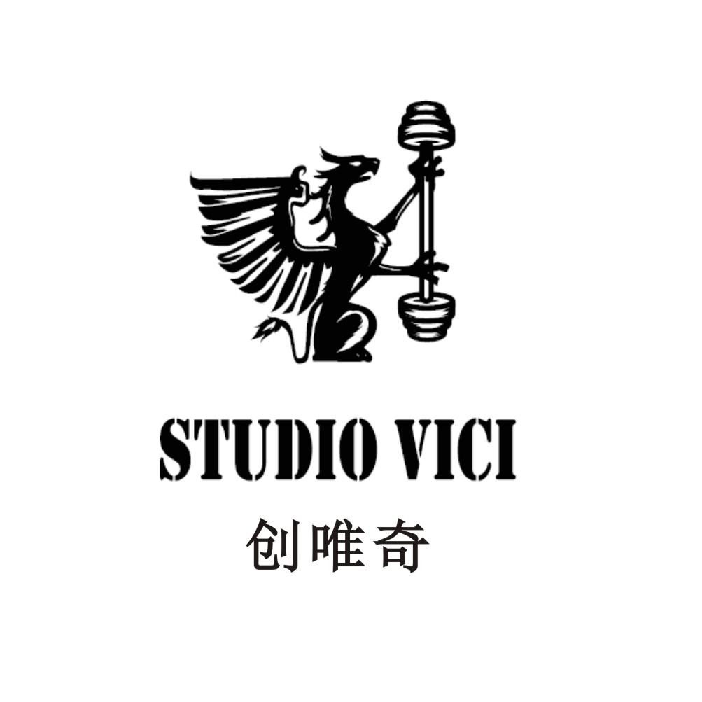 商标文字创唯奇 studio vici商标注册号 25828170,商标申请人宁波海曙