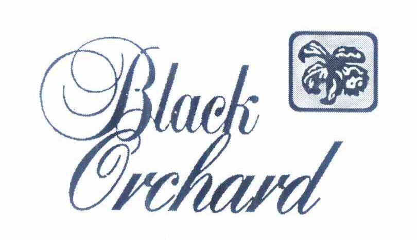 商标名称BLACK ORCHARD商标注册号 10238289、商标申请人何美飞的商标详情 - 标库网商标查询