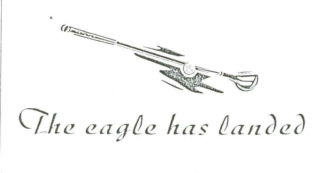 商标名称THE EAGLE HAS LANDED商标注册号 3245212、商标申请人北京航空材料研究院股份有限公司的商标详情 - 标库网商标查询