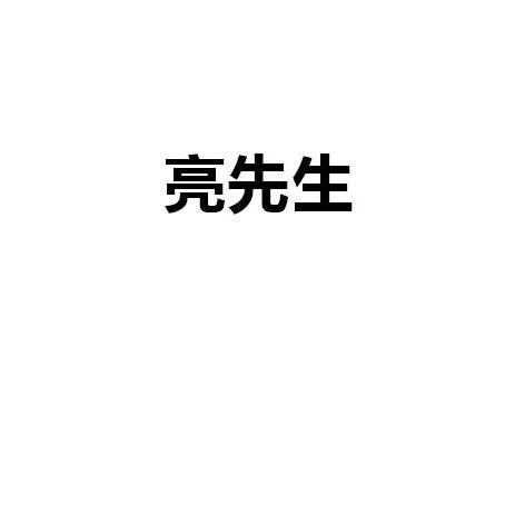 商标文字亮先生商标注册号 23191558,商标申请人李宗亮的商标详情