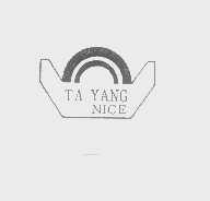 商标名称TA YANG NICE商标注册号 1373166、商标申请人大扬运动器材有限公司的商标详情 - 标库网商标查询