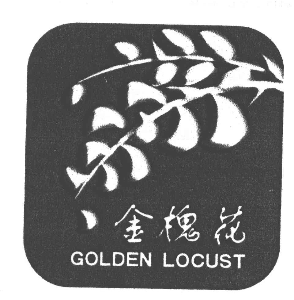 商标名称金槐花;GOLDEN LOCUST商标注册号 4242346、商标申请人时闻讯的商标详情 - 标库网商标查询
