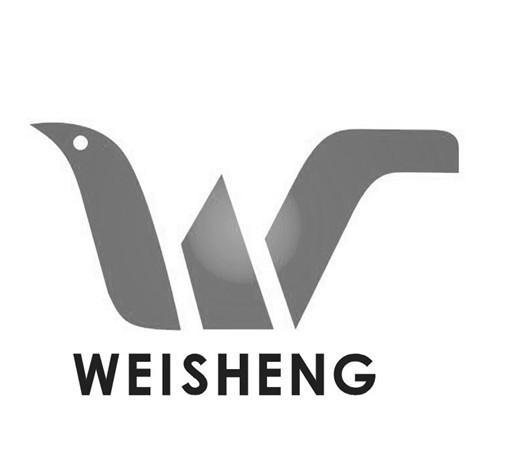 商标名称WEISHENG商标注册号 10199965、商标申请人广州市伟圣实业有限公司的商标详情 - 标库网商标查询