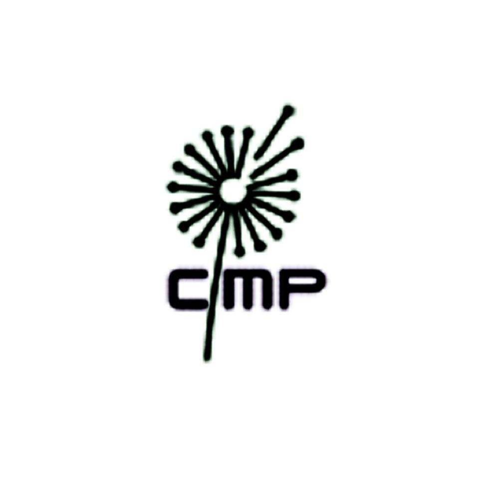 商标名称CMP商标注册号 10279091、商标申请人无锡微纳产业发展有限公司的商标详情 - 标库网商标查询
