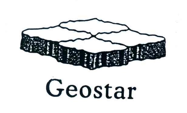 商标名称GEOSTAR商标注册号 3985859、商标申请人华北石油管理局橡胶制品厂的商标详情 - 标库网商标查询