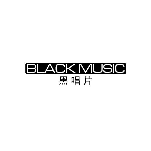 黑唱片 BLACK MUSIC