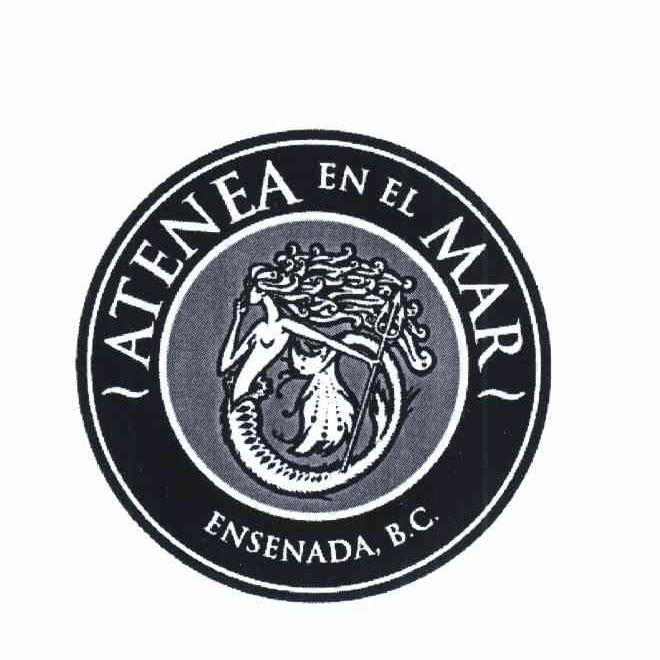 商标名称ATENEA EN EL MAR ENSENADA B.C商标注册号 11625556、商标申请人密涅瓦.佩雷斯.卡斯特罗（护照号码：G********）的商标详情 - 标库网商标查询