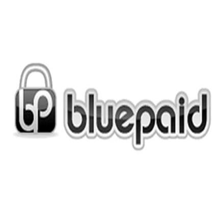 商标名称BP BLUEPAID商标注册号 9378961、商标申请人科维投资集团股份有限公司的商标详情 - 标库网商标查询