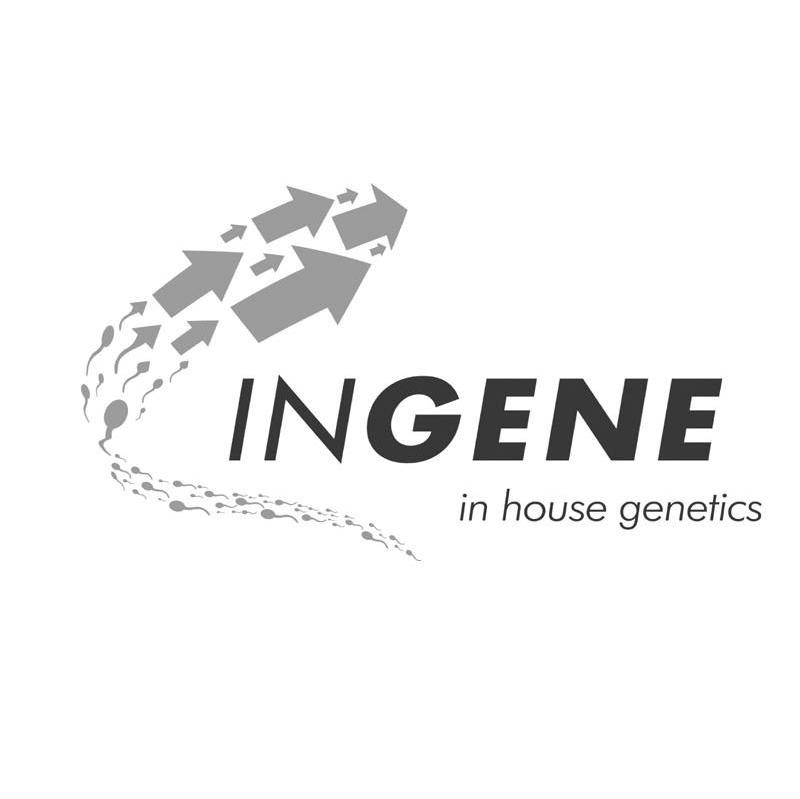 商标名称INGENE IN HOUSE GENETICS商标注册号 7424742、商标申请人佩克切集团有限公司的商标详情 - 标库网商标查询
