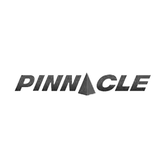 商标名称PINNCLE商标注册号 10233617、商标申请人宁波中工科技有限公司的商标详情 - 标库网商标查询