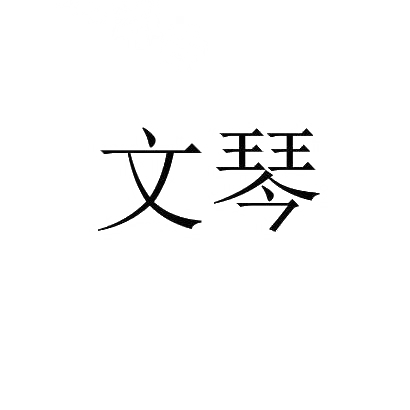 商标文字文琴商标注册号 30509010,商标申请人朱文琴的商标详情 标