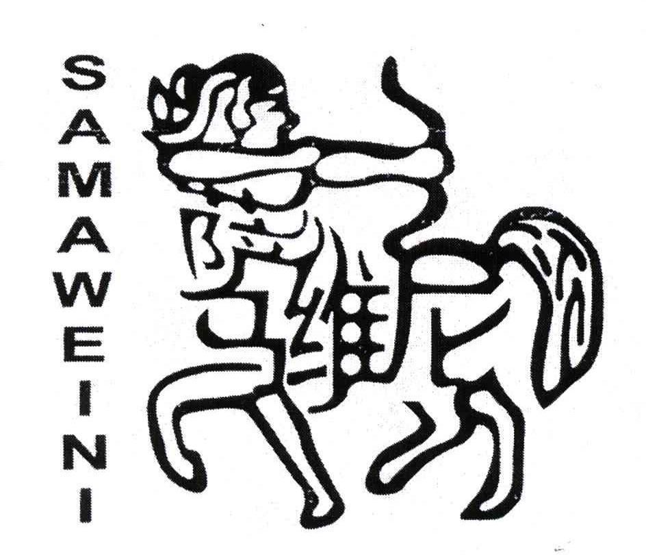 商标名称萨马维尼商标注册号 4597594、商标申请人陈群峰的商标详情 - 标库网商标查询