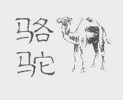 商标名称骆驼商标注册号 1219493、商标申请人莫尼托有限公司的商标详情 - 标库网商标查询
