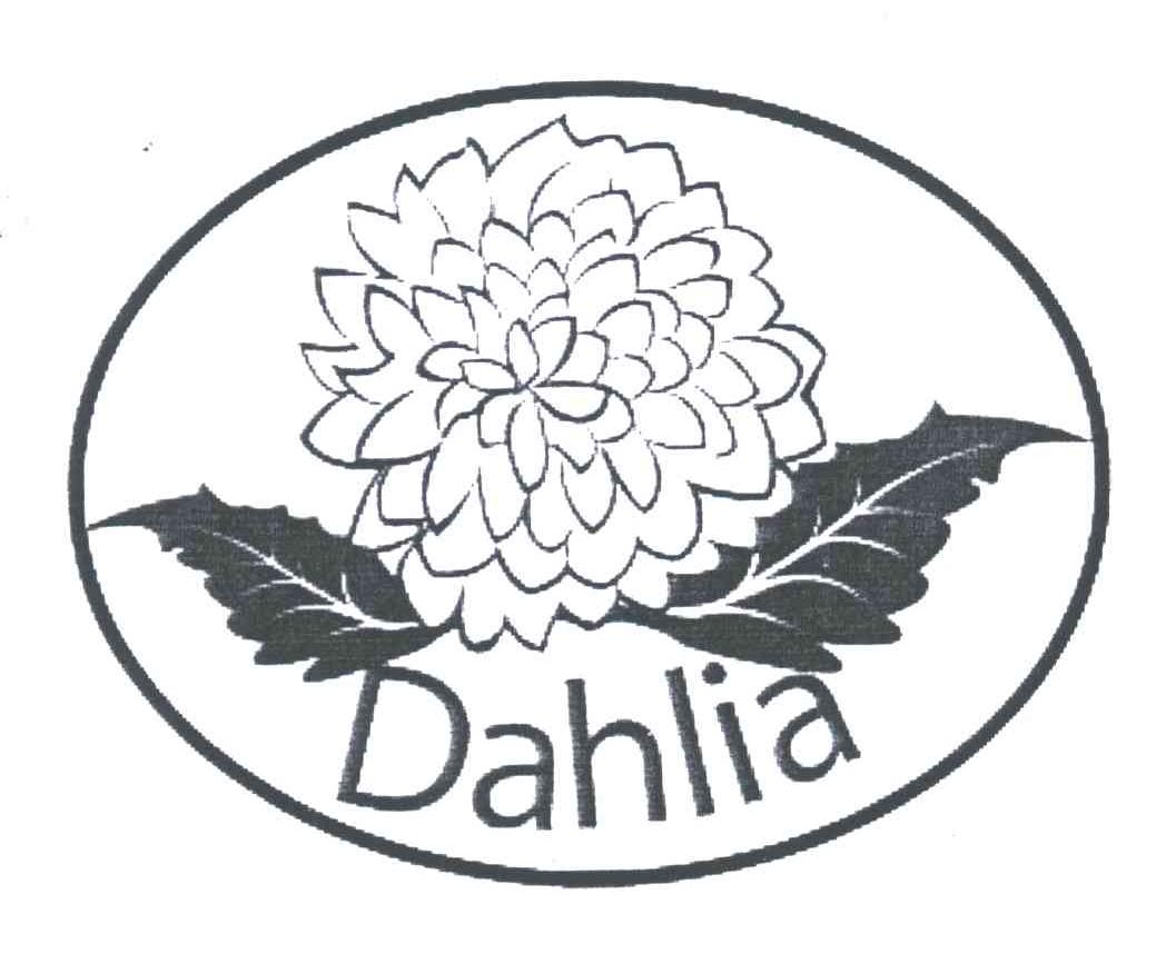 商标名称DAHLIA商标注册号 4951143、商标申请人厦门高富进出口有限公司的商标详情 - 标库网商标查询