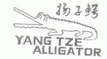 商标名称扬子鳄;YANG TZE ALLIGATOR商标注册号 1625898、商标申请人天津农具厂的商标详情 - 标库网商标查询