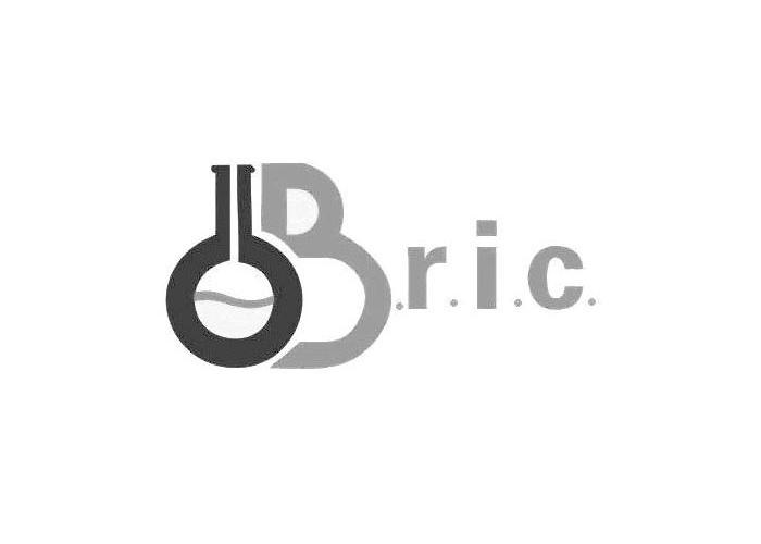 商标名称BRIC商标注册号 10569383、商标申请人东莞市新具瑞化工有限公司的商标详情 - 标库网商标查询
