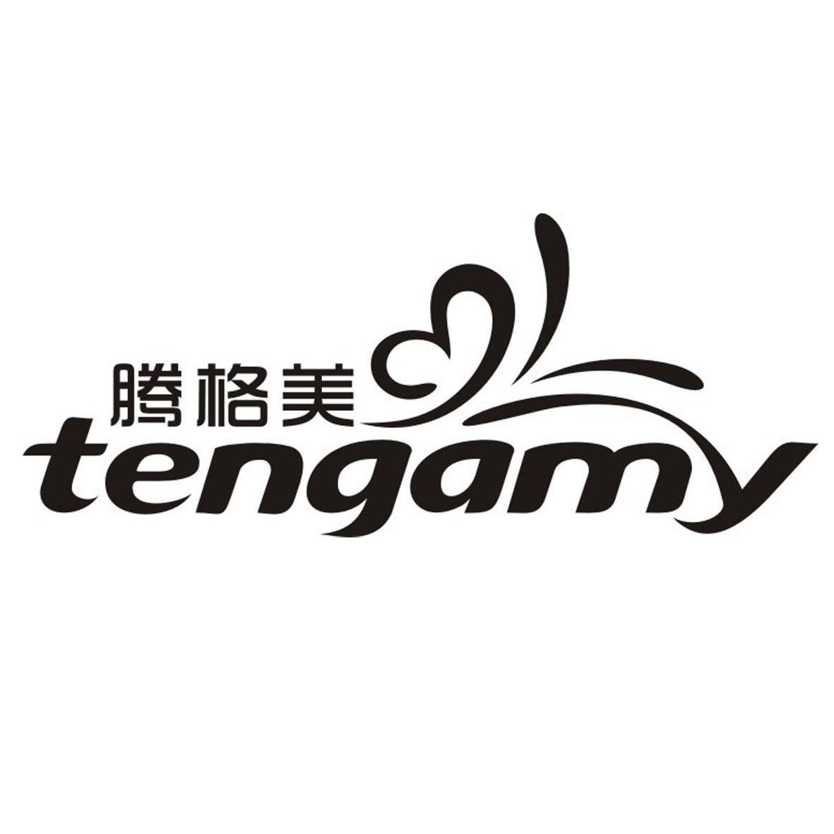 商标名称腾格美 TENGAMY商标注册号 10301982、商标申请人广西智联美投资有限公司的商标详情 - 标库网商标查询