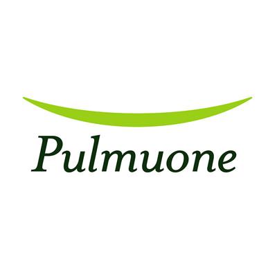 商标名称PULMUONE商标注册号 18265077、商标申请人（株）圃美多的商标详情 - 标库网商标查询